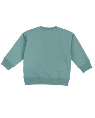 Sudadera algodón niño Verde